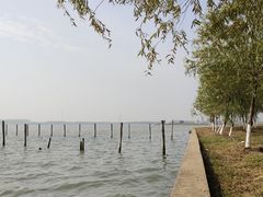 -漕湖湿地公园