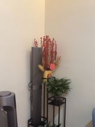 -苑苑vbeauty科技美容SPA