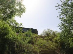 -白水寺森林公园