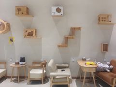 -藏猫猫咖啡主题馆(中央大道店)