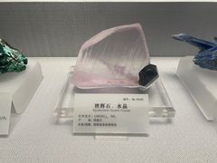 -湖南省地质博物馆
