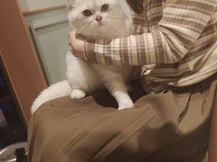 -星巴克(宁波老外滩店)