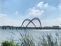 -艾溪湖湿地公园