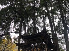 -青城山
