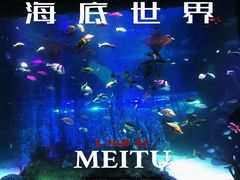 -沈阳海洋探索中心