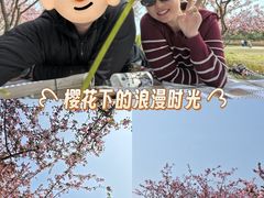 -阳澄湖半岛旅游度假区