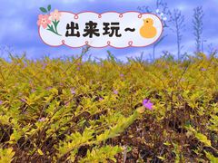 -良渚古城遗址公园