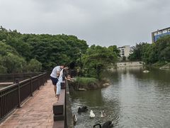 -厦门悦华酒店