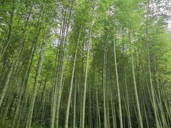 -千泷沟大瀑布旅游区