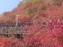 -狼牙山风景区