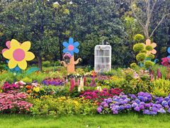 -上海共青森林公园