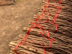 -解家河南菜(商鼎路店)