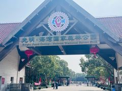 -上海海湾国家森林公园