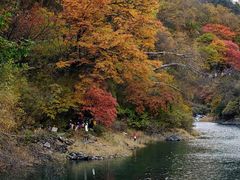 -叠溪松坪沟景区
