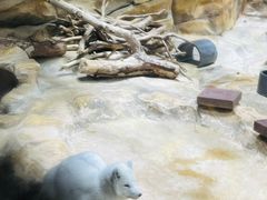 -香港海洋公园