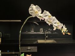 -成都博舍酒店