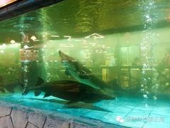 -年辉渔村