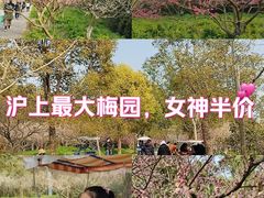 -上海海湾国家森林公园