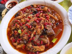 -龙翔山庄雷鸡肉(青城后山泰安古镇店)