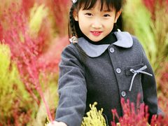 -天津东丽湖风景区