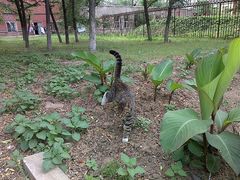 -辽宁大学(崇山校区)