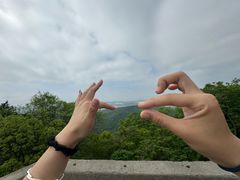 -惠山国家森林公园