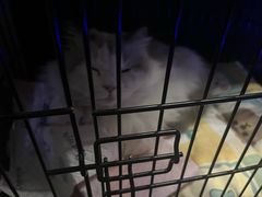 -暗楼·剧本杀·桌游