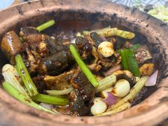 -天宝食坊·啫啫煲大排档(西华路店)