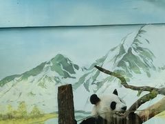 -南宁市动物园