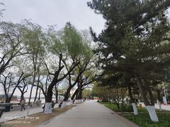 -人民防洪胜利纪念塔