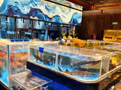 -青蓬蒸汽海鲜·深圳老字号·团建聚会(壹方城店)