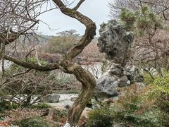 -杭州植物园