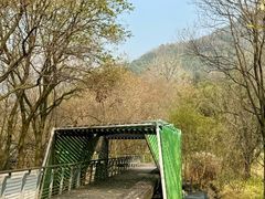 -西湖风景区-江洋畈生态公园