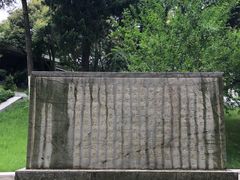 -菊花台公园