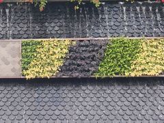 -云溪植物园