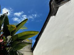 -菌林天下·野生菌汤锅