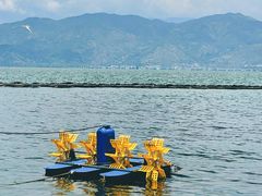 -大理洱海