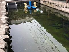 -京北渔家傲