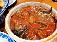 -兰边碗(鼓楼店)