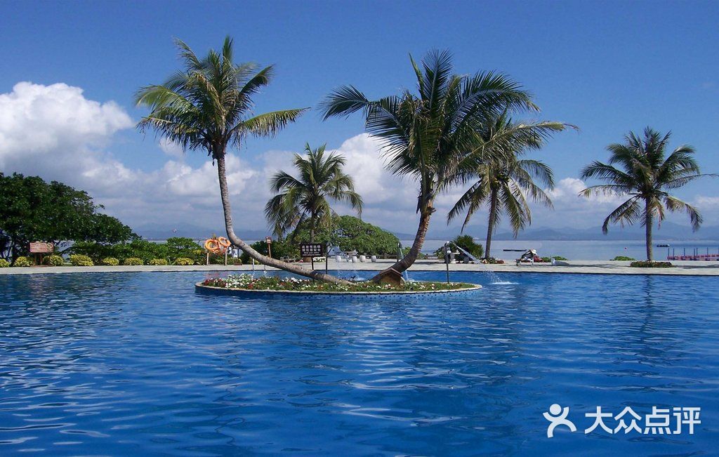 海边椰树                 llddhhok           nekoyo2003