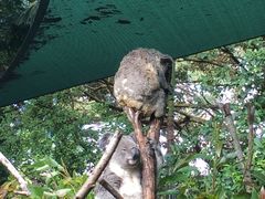 -可伦宾野生动物保护区