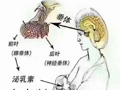 -大班家政月嫂育儿嫂(总部店)