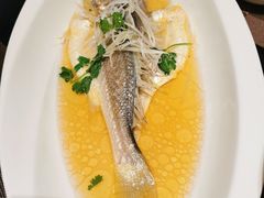 清蒸黄鱼-上海虹桥宾馆味翠餐厅