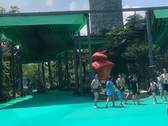 -苏州乐园森林水世界