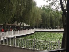 -巴山一绝烤全羊(三圣乡刘家花园店)