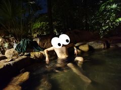 -厦门日月谷温泉渡假村