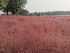 -汉长安城未央宫国家考古遗址公园