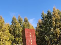 -塞罕坝国家级自然保护区