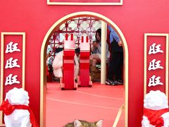 -王府井百货(总府店)