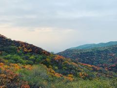 -北京西山国家森林公园